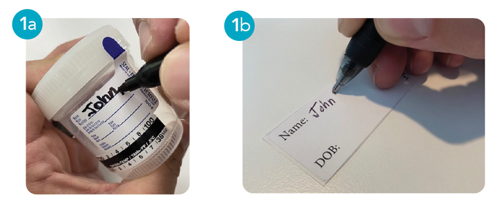 COVID 19 Sample Instructions