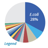 Ecoli Pie Graph