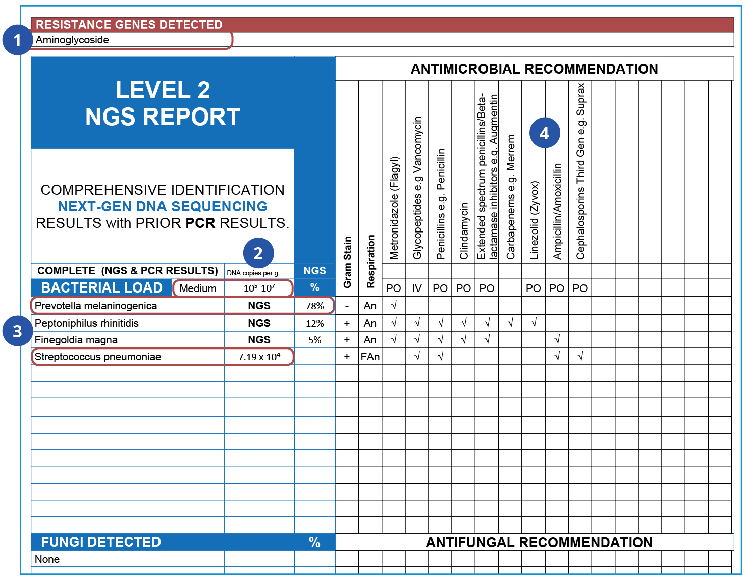 lab report sample
