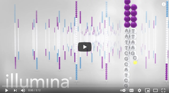illumina video