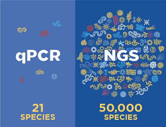 qPCR vs NGS qPCR vs NGS