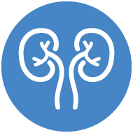 urology collection icon
