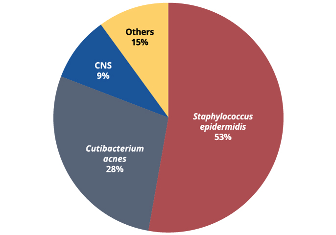 Plastic Surgery Culture Chart