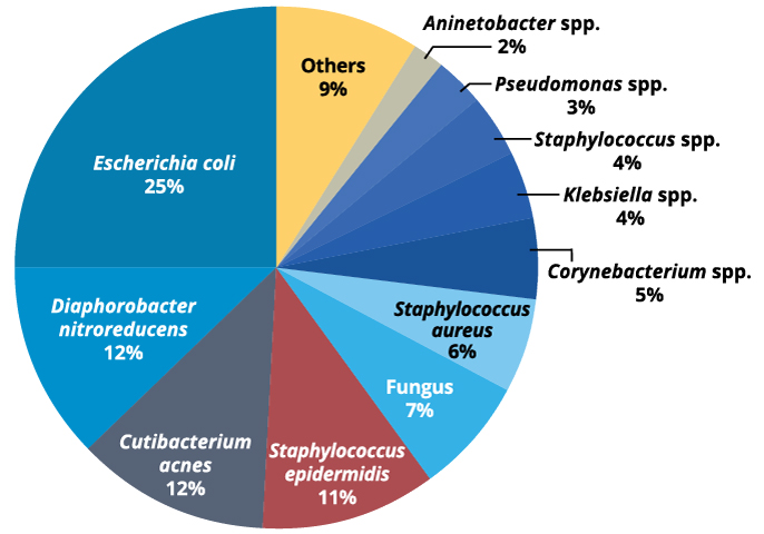 Plastic Surgery NGS Chart