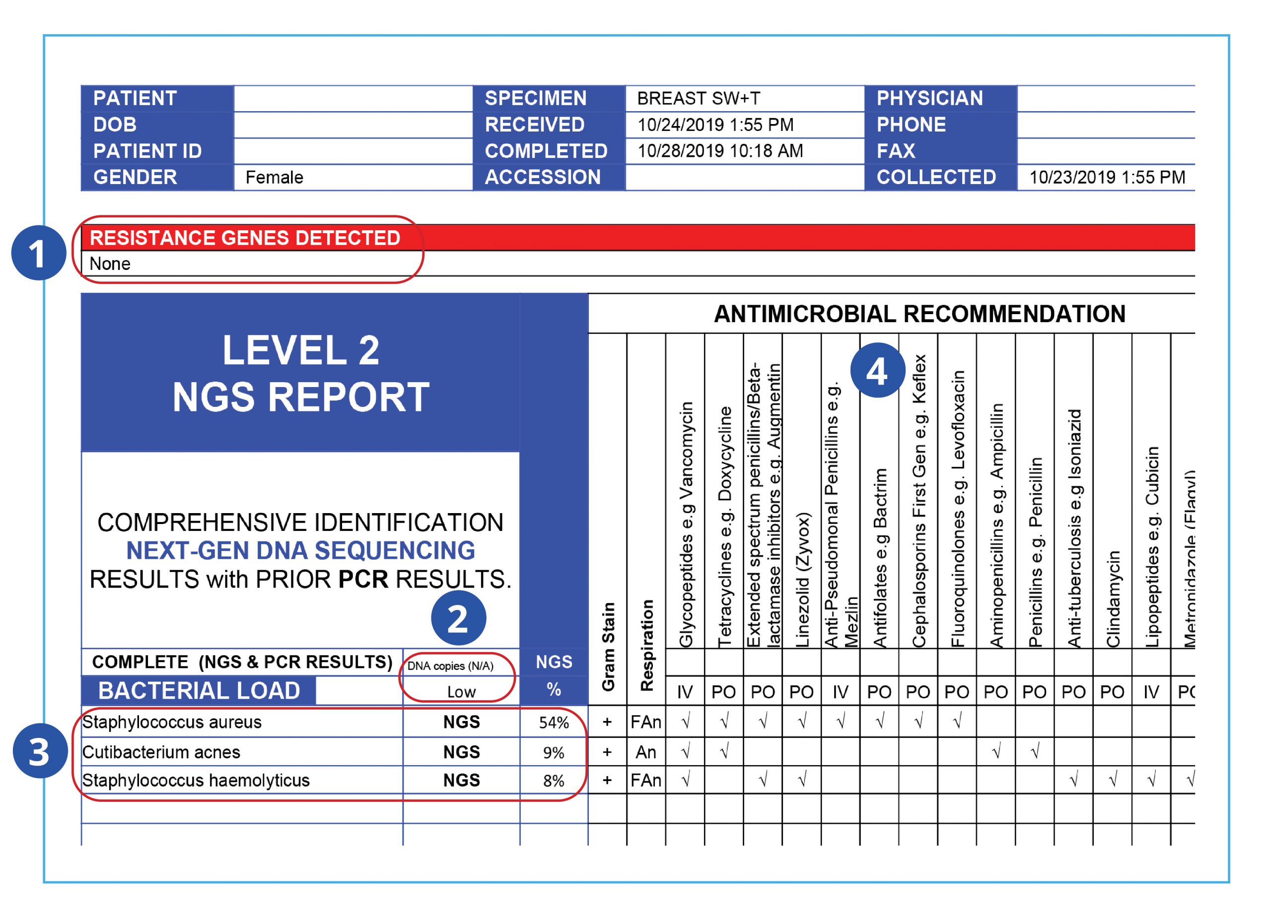 lab report sample