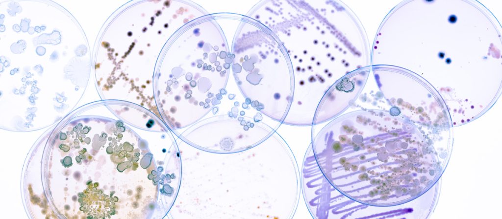 molecular diagnostics