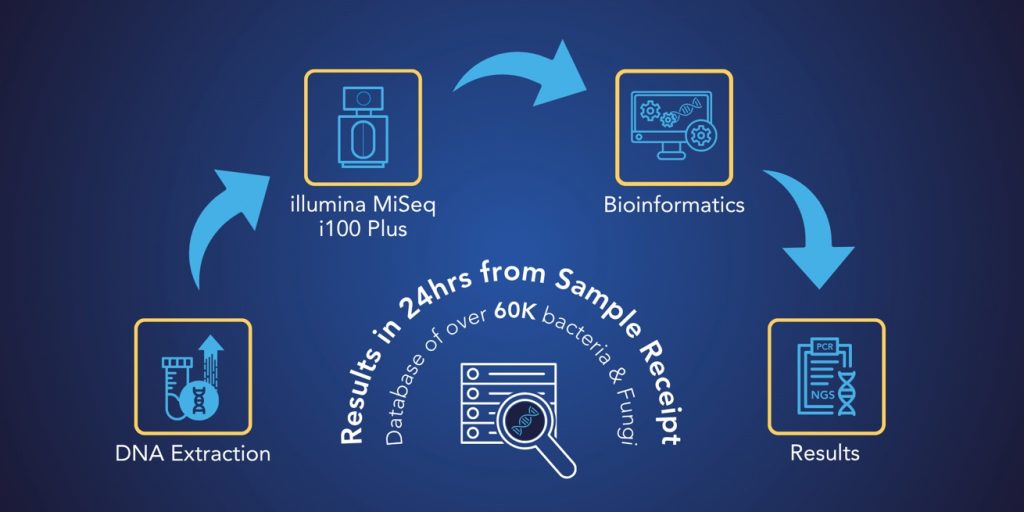 OrthoKEY From MicroGenDX